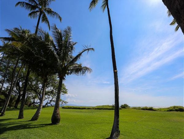 Kihei Condo 970525