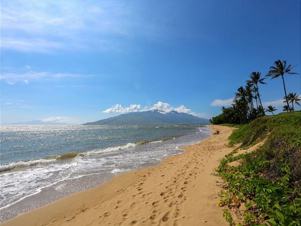 Kihei Condo 970525