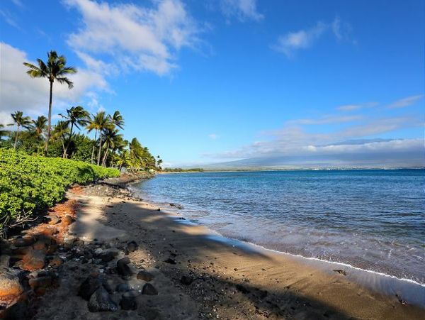 Kihei Condo 970529