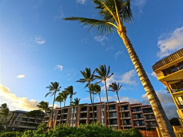 Kihei Condo 970530