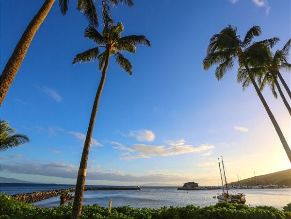 Kihei Condo 970530