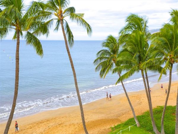 Kihei Condo 970531