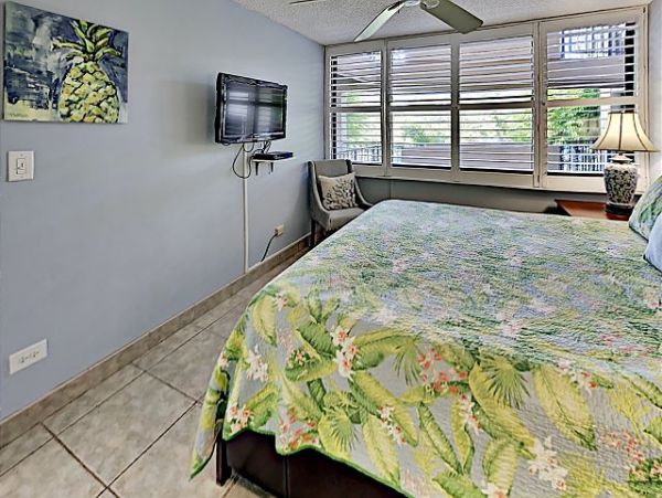 Wailea Condo 970532