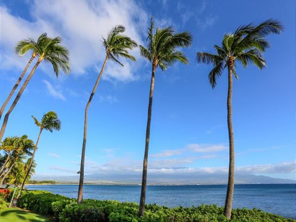 Kihei Condo 970534