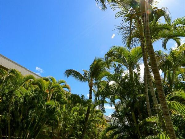 Wailea Condo 970538