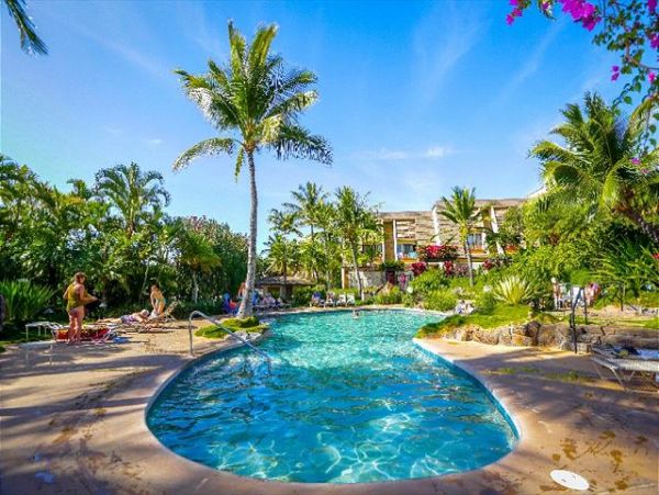 Wailea Condo 970544