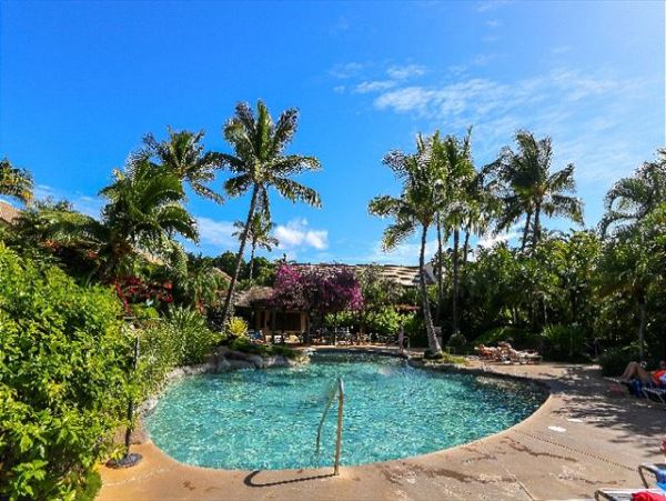 Wailea Condo 970544