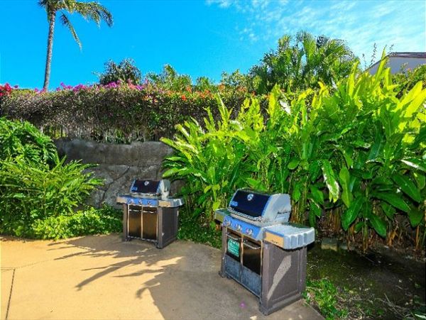 Wailea Condo 970544