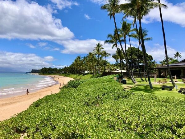 Wailea Condo 970545