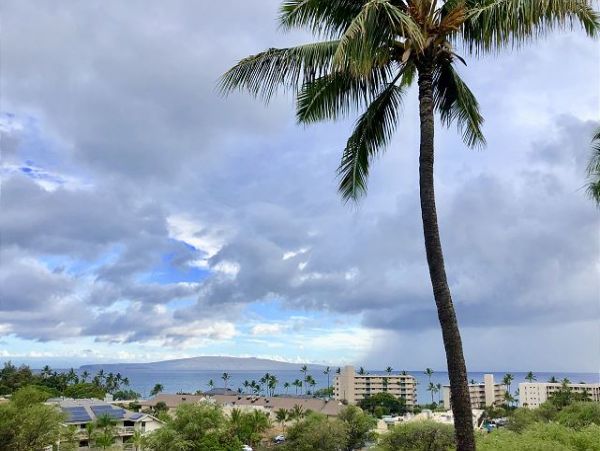 Kihei Condo 970549