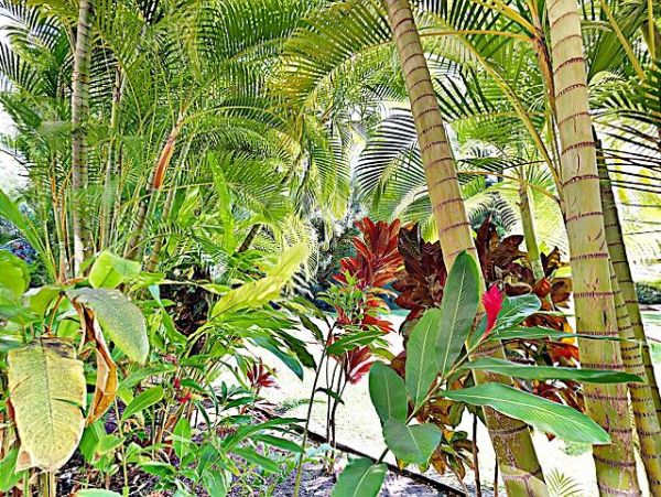 Wailea Condo 970553