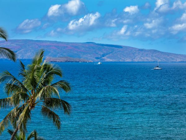 Oceanview Wailea Vacation Condo On Beach