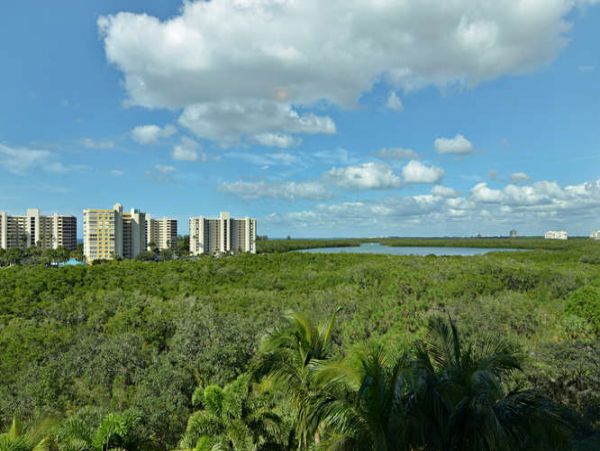 Naples Condo 970756