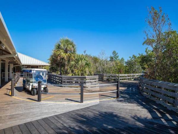 Naples Condo 970906
