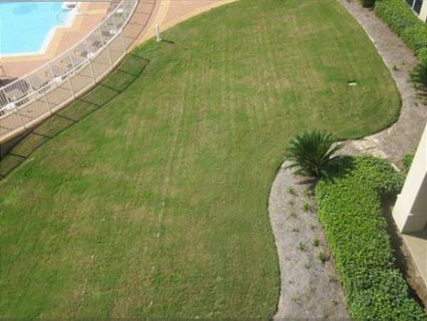 Beaches Of South Walton Condo 970956