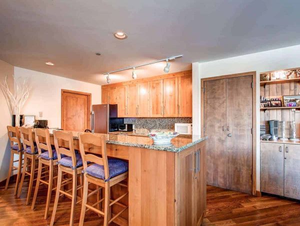 Luxury Lionshead condo within minutes of the Gondola