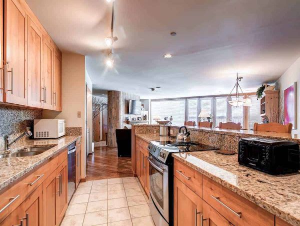 Luxury Lionshead condo within minutes of the Gondola