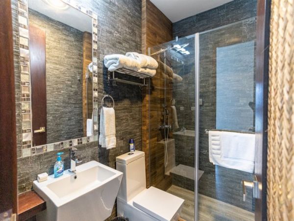Vail Lionshead Home 971071