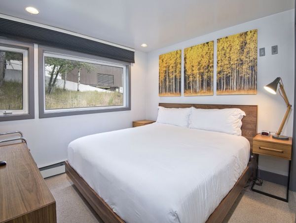 Vail Lionshead Home 971096