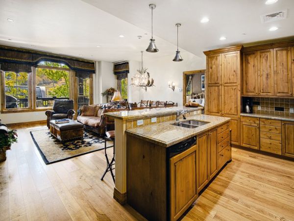 Vail Lionshead Home 971103
