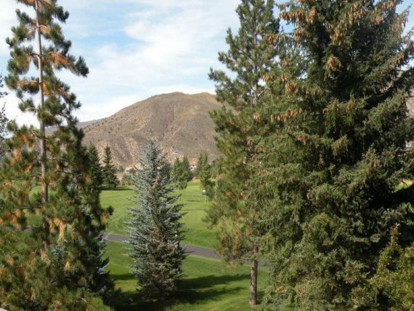 Beaver Creek Bachelor Gulch Home 971104