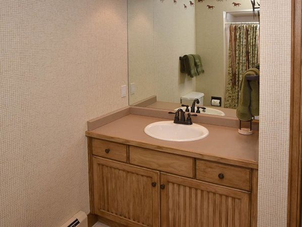 Vail Lionshead Home 971110