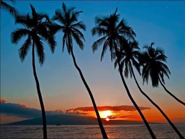 Lahaina Home 971172