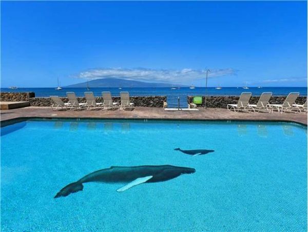 Lahaina Condo 971175