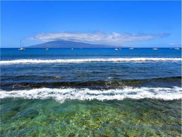 Lahaina Condo 971175