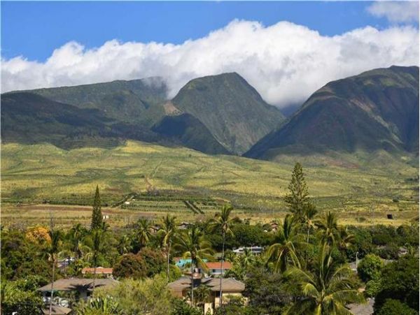 Lahaina Condo 971186