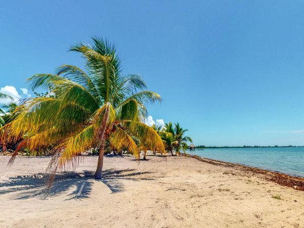 Beautiful Home Located on Beach with Private Pool in Belize