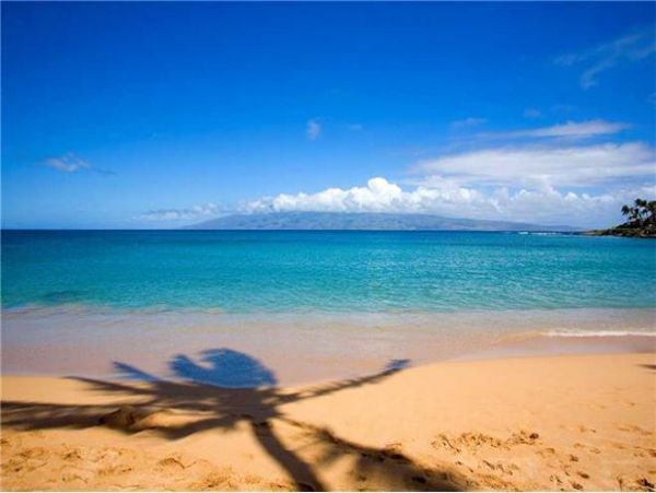 Lahaina Condo 971252