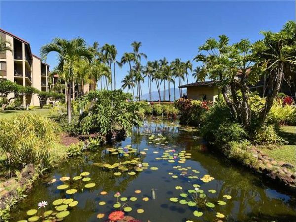 Kaanapali Condo 971265
