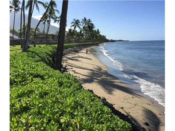 Oceanfront Vacation Condo in Lahaina 8 Guests
