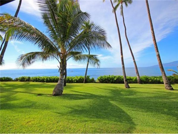 Lahaina Condo 971300