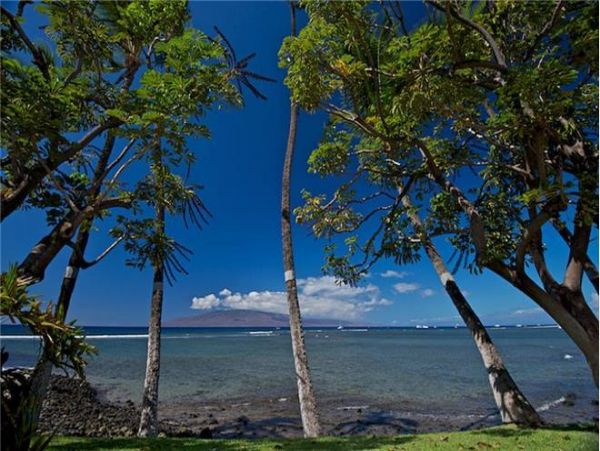 Lahaina Home 971313