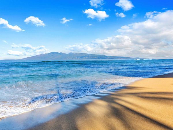 Oceanfront One Bedroom Vacation Condo in Kahana