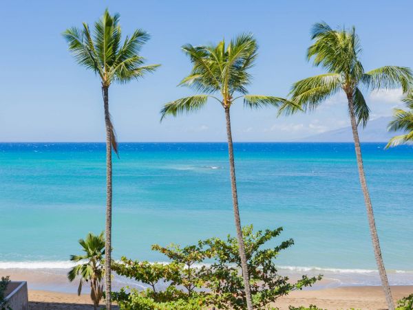 Kapalua Vacation Condo One Bedroom Ocean Views