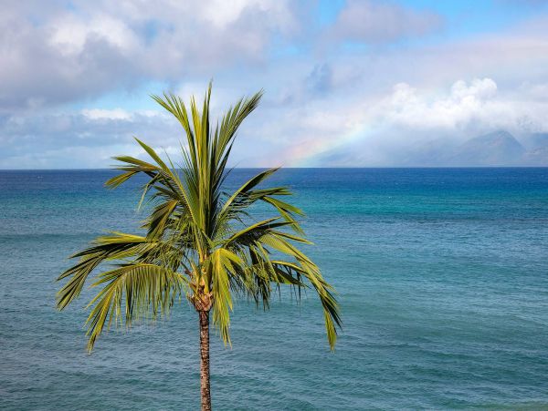 Kapalua Vacation Condo Two Bedroom On Beach