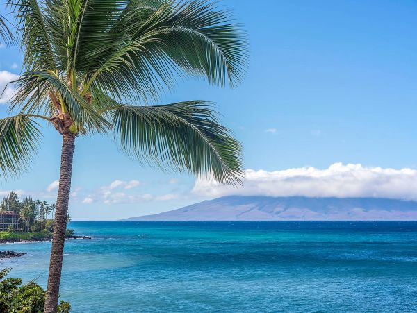 Kapalua Vacation Condo Two Bedroom On Beach