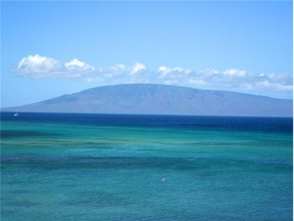 Kapalua Condo 971343