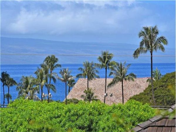Kapalua Condo 971394
