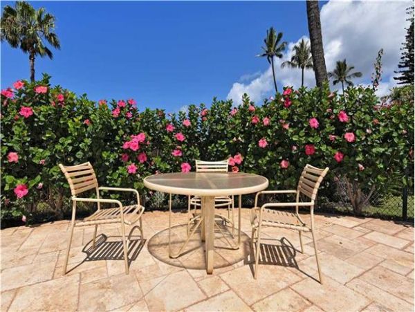 Kapalua Condo 971394
