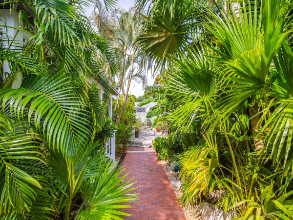 The Florida Keys Condo 971549