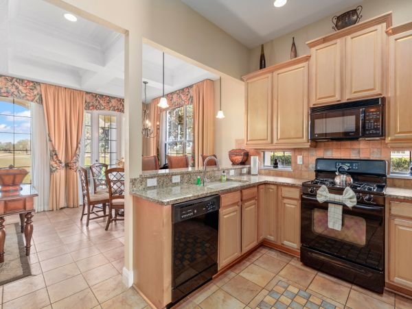 Orlando Home 971552