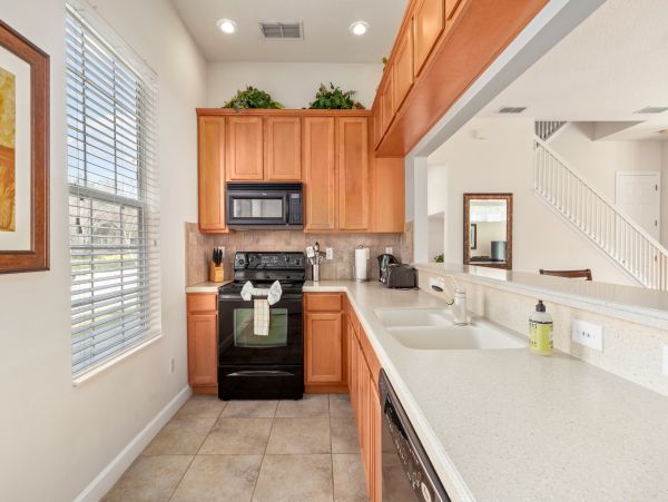 Orlando Home 971556