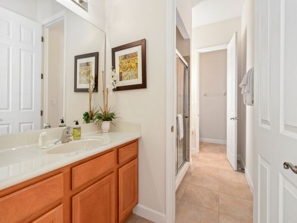 Orlando Home 971556