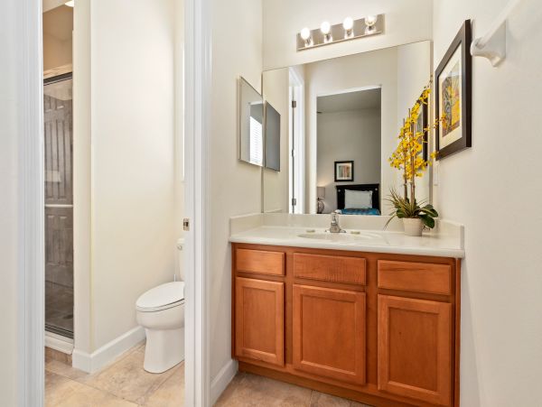 Orlando Home 971556