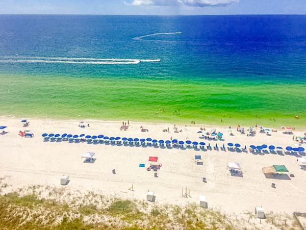 Panama City Beach Condo 971571