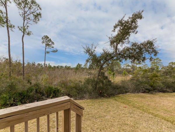 Perdido Key Home 971572